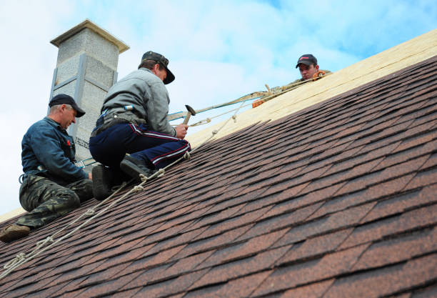 Best Storm Damage Roof Repair  in Dent, OH