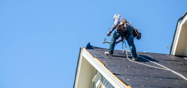 Best Roof Maintenance Services  in Dent, OH
